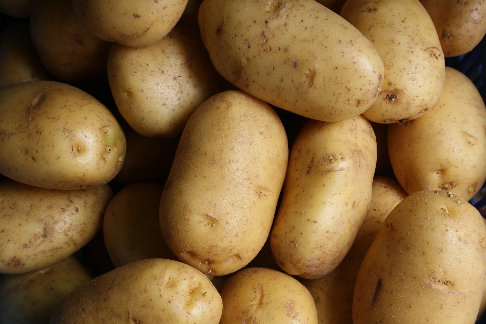 fresh potatoes on rustic wooden table