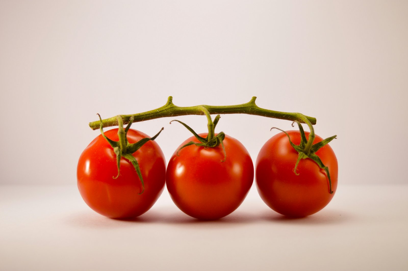 fresh ripe tomatoes and herbs